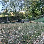 Apartment Des Etangs De Saint Bale