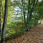 Des Etangs De Saint Bale