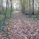Apartment Des Etangs De Saint Bale Vrigne-aux-Bois