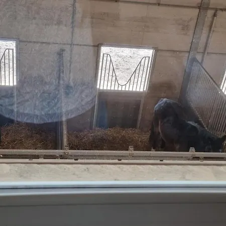 Des Etangs De Saint Bale Appartement