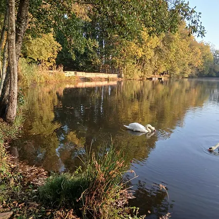 Des Etangs De Saint Bale Vrigne-aux-Bois