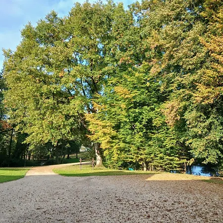 Des Etangs De Saint Bale Vrigne-aux-Bois
