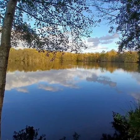 Des Etangs De Saint Bale