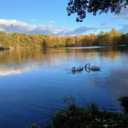 Des Etangs De Saint Bale Apartment Vrigne-aux-Bois