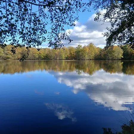Des Etangs De Saint Bale