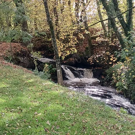 Apartment Des Etangs De Saint Bale *