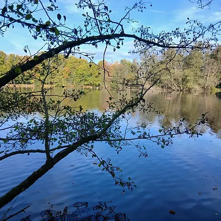 Des Etangs De Saint Bale