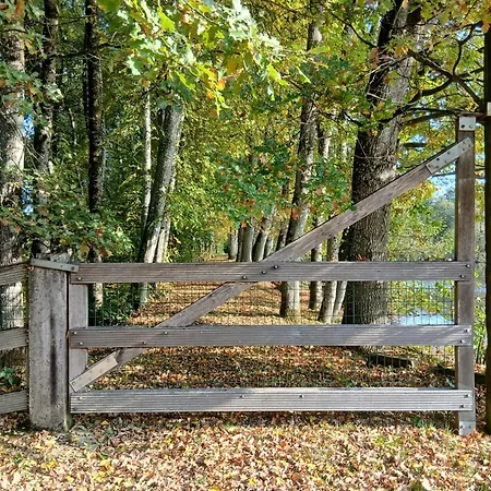 Des Etangs De Saint Bale * Vrigne-aux-Bois