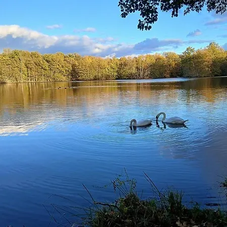 Daire Des Etangs De Saint Bale