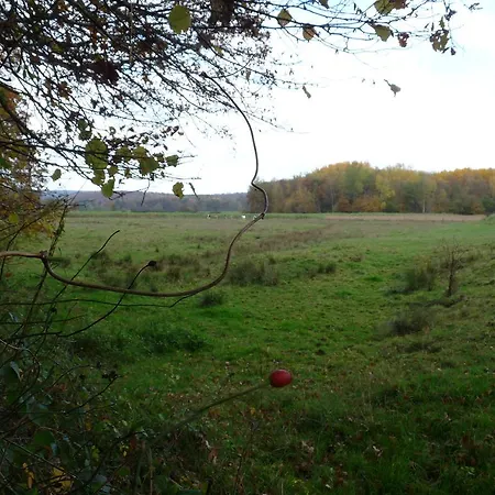 Des Etangs De Saint Bale