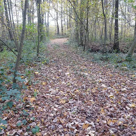 Daire Des Etangs De Saint Bale Vrigne-aux-Bois