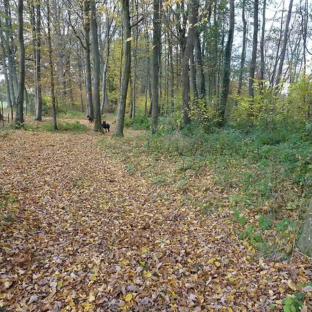 Appartement Des Etangs De Saint Bale *