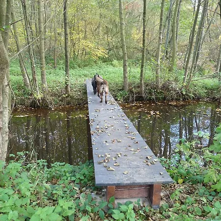 شقة Des Etangs De Saint Bale Vrigne-aux-Bois