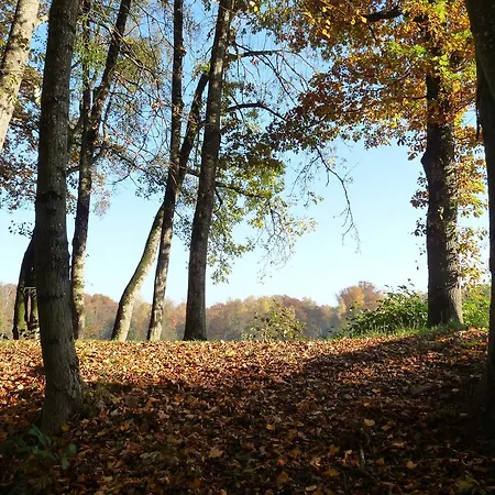 Apartment Des Etangs De Saint Bale *