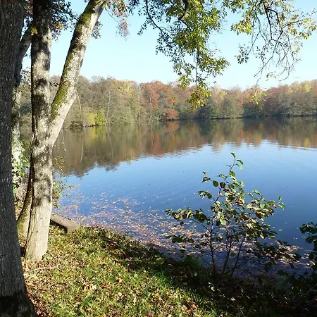 Des Etangs De Saint Bale