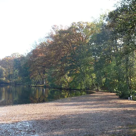 Des Etangs De Saint Bale Vrigne-aux-Bois