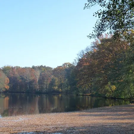 Des Etangs De Saint Bale