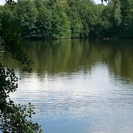 Daire Des Etangs De Saint Bale *