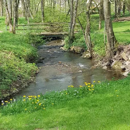 Des Etangs De Saint Bale Vrigne-aux-Bois