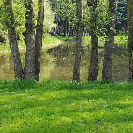 Des Etangs De Saint Bale Apartment Vrigne-aux-Bois