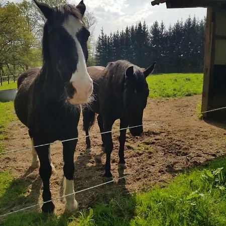 شقة Des Etangs De Saint Bale Vrigne-aux-Bois