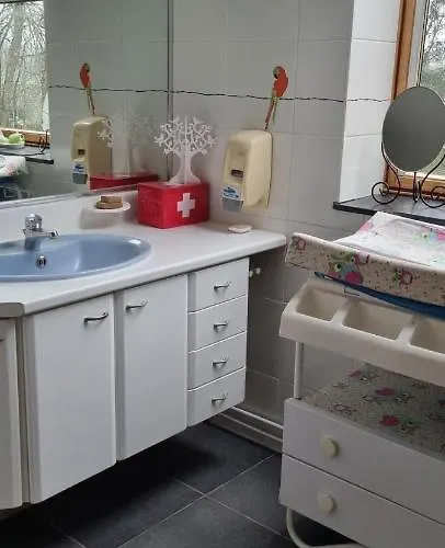 Des Etangs De Saint Bale Daire *