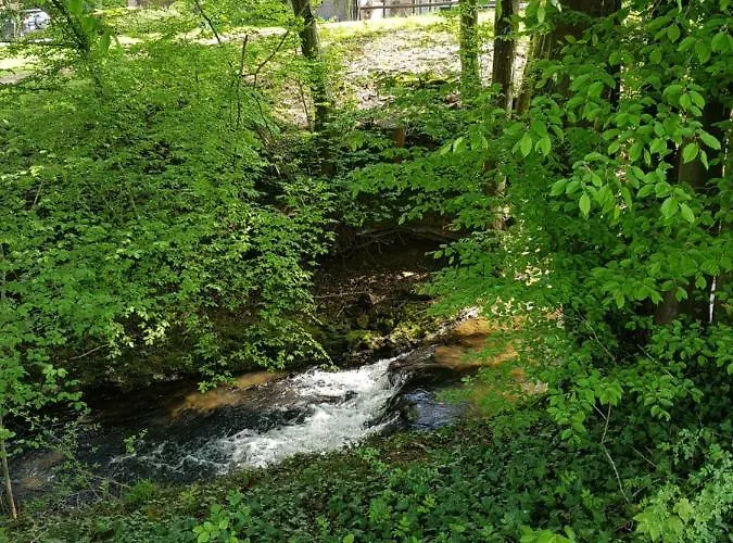 Des Etangs De Saint Bale شقة